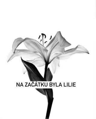 Od první linie až po poslední steh. Proces, kde se fotka mění v vzor, vzor ve strukturu a struktura v oděv. ⭕️ Od symbolů...